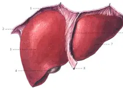 开云-f抙眽6H┚;寭wō?h??b肋N55€嫭.x褧珩指y??u~6伽?v?>-韘??X鲼庸v阼>俸i$_逕的简单介绍
